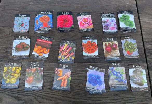 Creating an Alphabet Garden: A Fun and Educational Activity for Kids