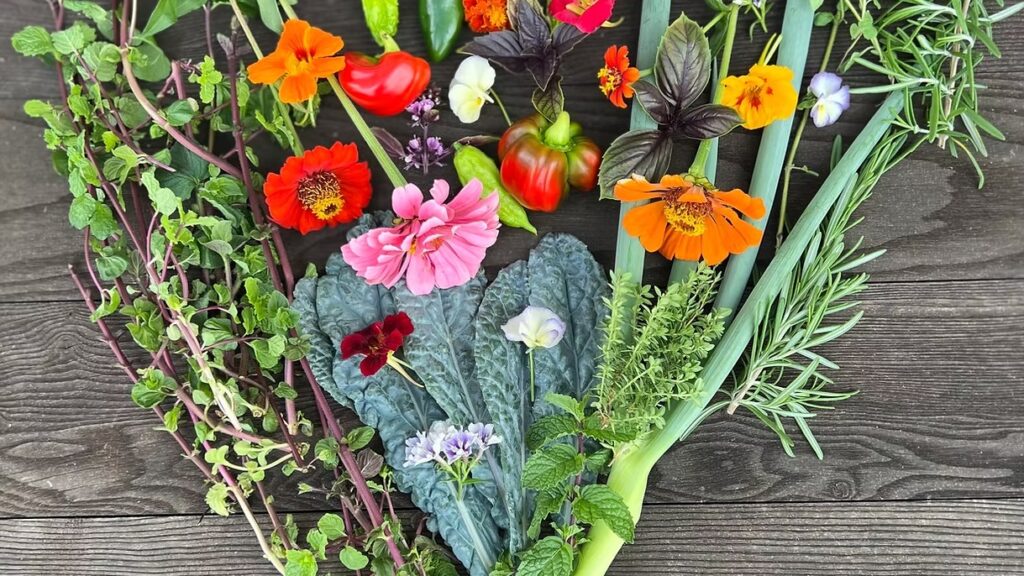 Heart-Shaped Harvest: Zinnia, Kale, Rosemary, Marigold, Scallions, and Viola