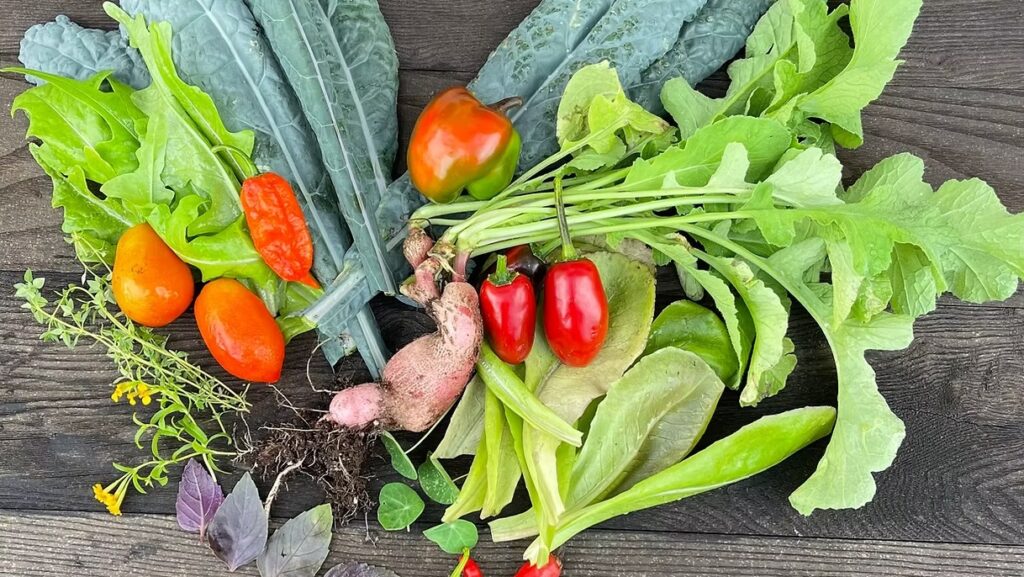 Heart Harvest for a Salad