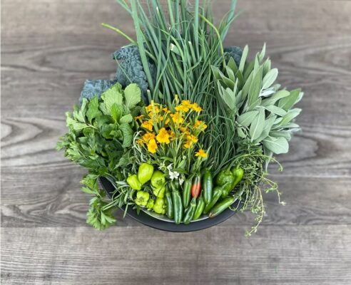 Mastering the Ratios of Dried vs Fresh Herbs for Perfect Flavor Every Time