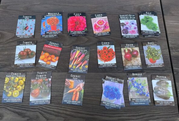 Creating an Alphabet Garden: A Fun and Educational Activity for Kids
