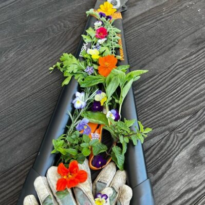 Essential Garden Tools Every Gardener Needs for a Flourishing Garden